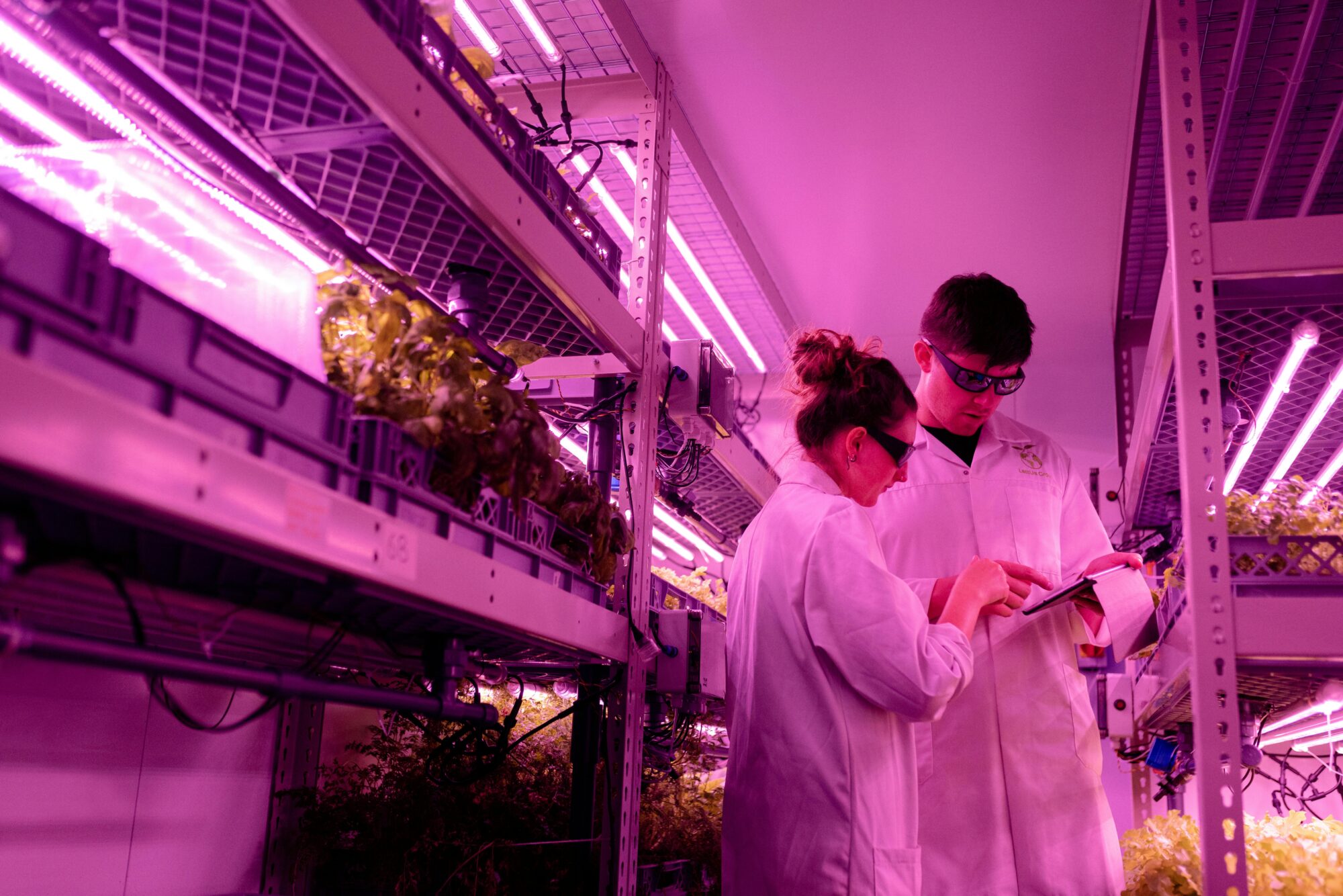 Investeren in goede ideeën én in een duurzame samenleving